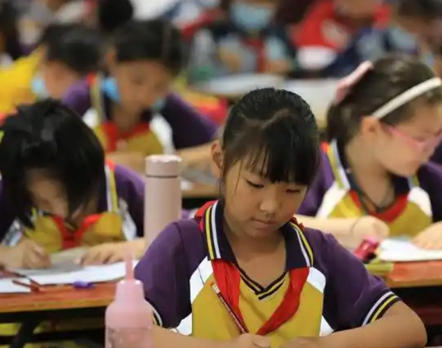 为学生供给从诊断到全程