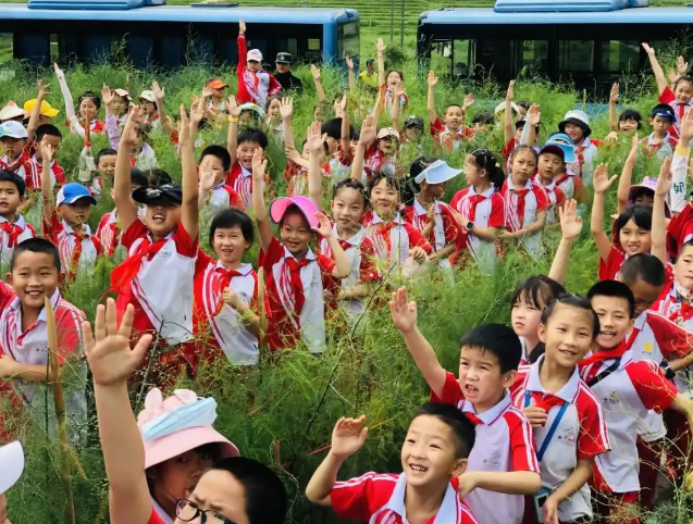 完善机制优化实践路径让
