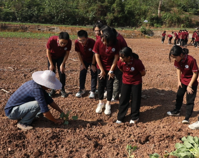 搭建实景讲堂实时收集学
