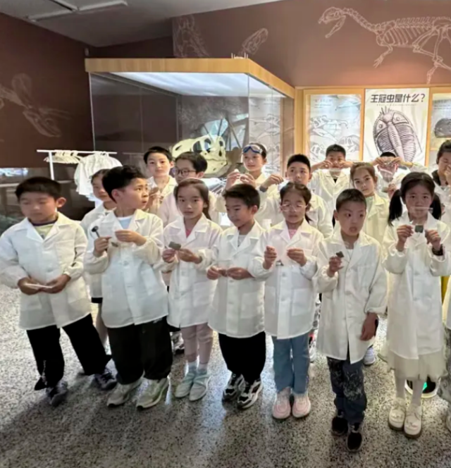 博物馆等社会场馆被整合