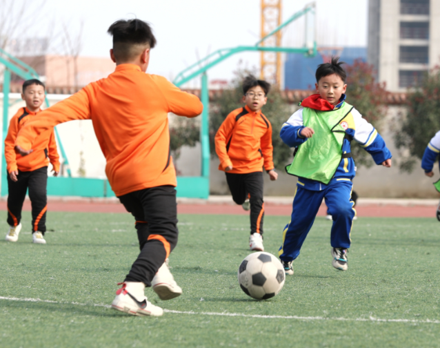 自主活动三段式全时段锻