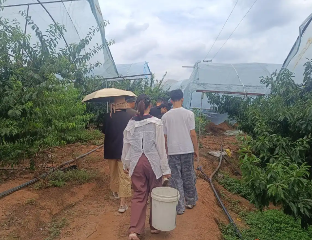 村庄教育公益小讲堂环绕