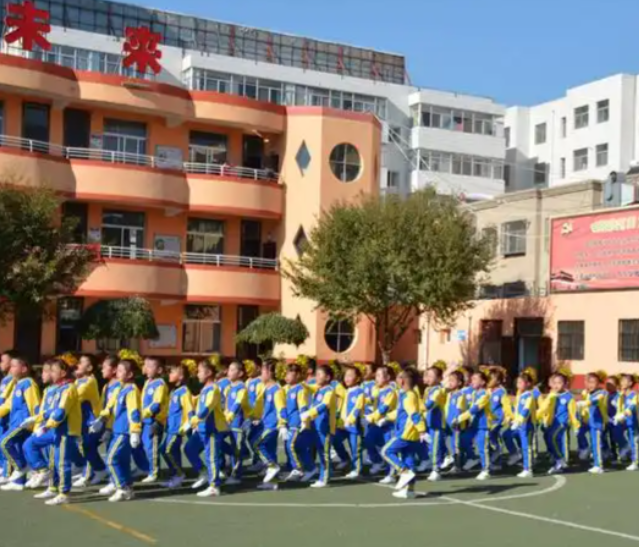 师队伍由专家指导团队骨